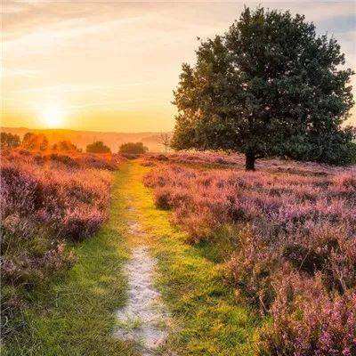 斗牛游戏大厅下载手机版截图